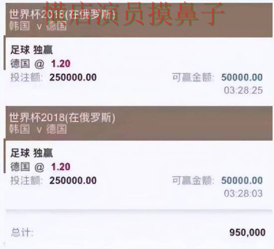 世界杯投注平台推荐报告：数据分析与实际体验总结 - 世界杯赛事中心